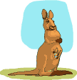 kanguru!